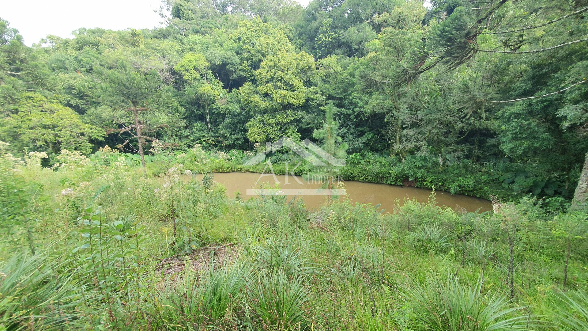 Sítio com casa de 4 quartos a venda em Nova Petrópolis na Serra Gaúcha