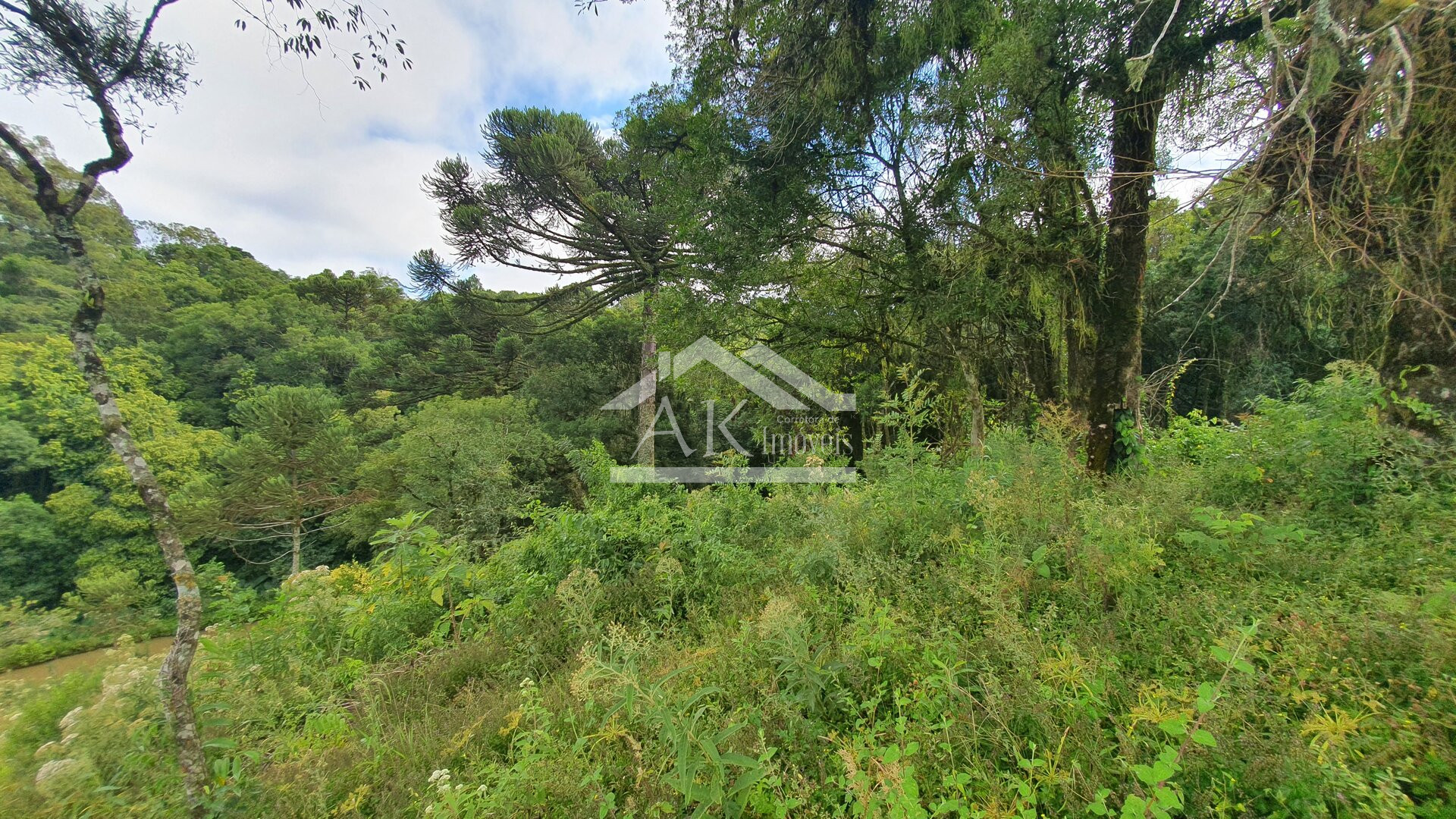 Sítio com casa de 4 quartos a venda em Nova Petrópolis na Serra Gaúcha