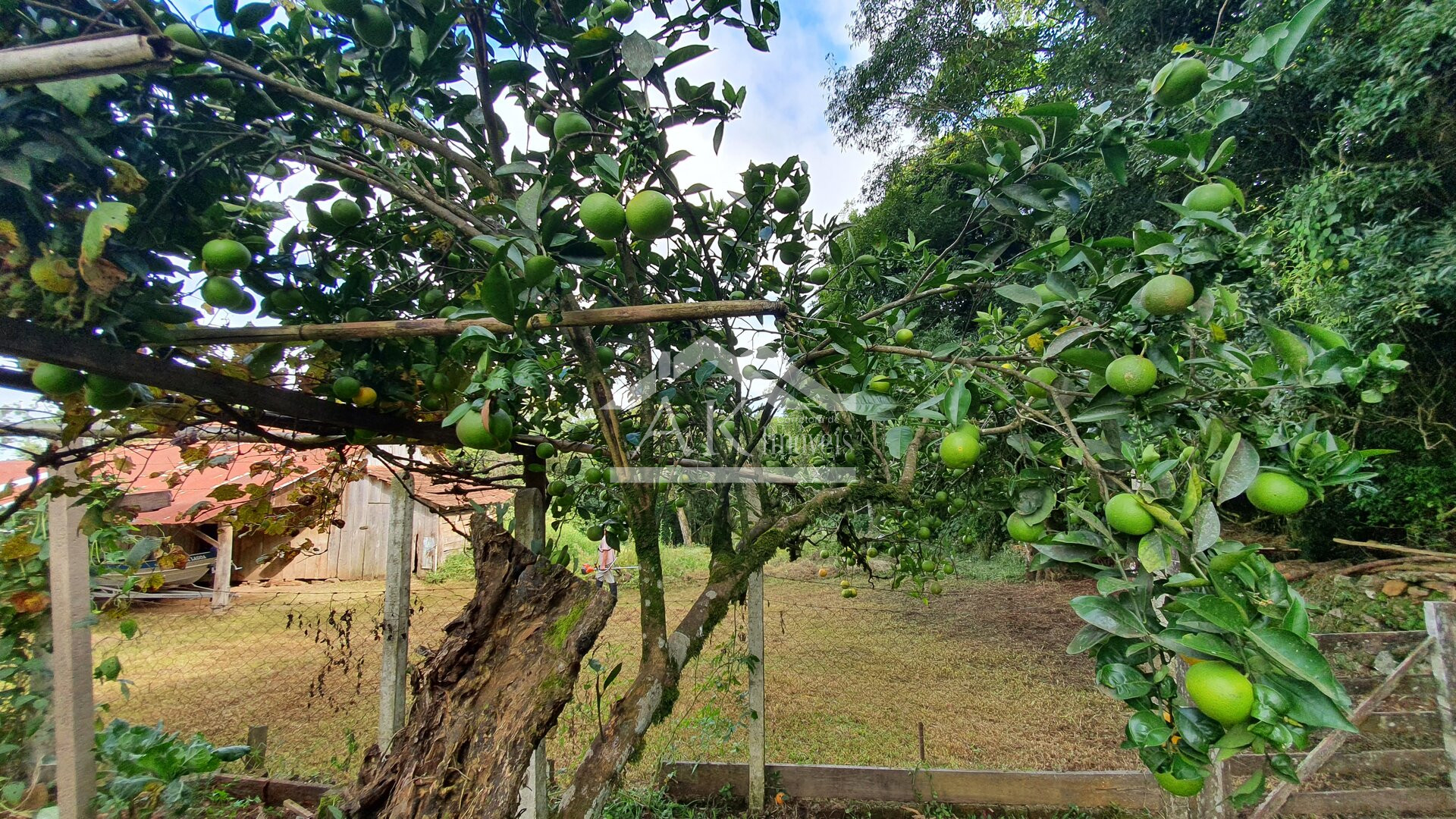 Sítio com casa de 4 quartos a venda em Nova Petrópolis na Serra Gaúcha