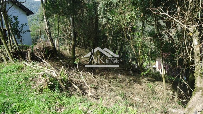 Terreno a venda, às margens da BR 116, em Picada Café, na serra gaúcha