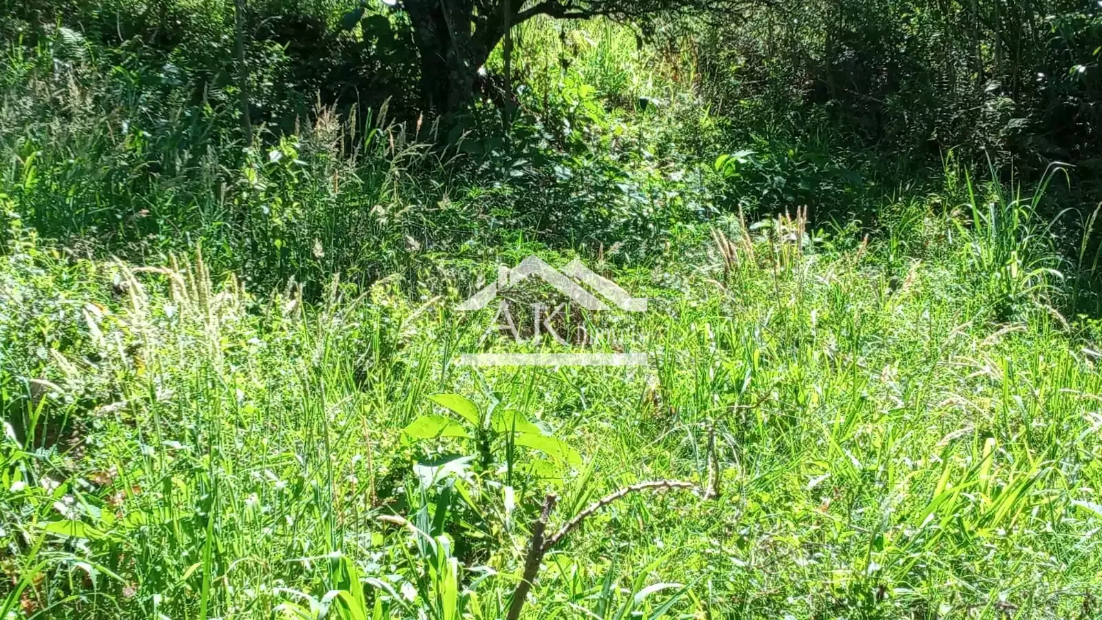Terreno em loteamento residencial em Nova Petrópolis, na Serra Gaúcha