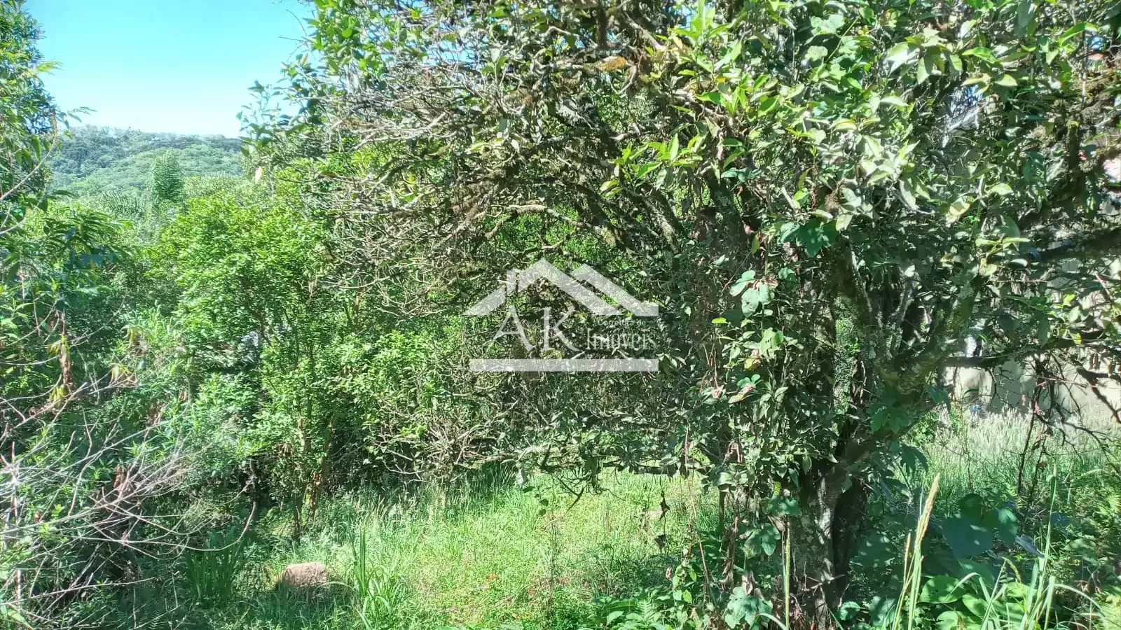 Terreno em loteamento residencial em Nova Petrópolis, na Serra Gaúcha