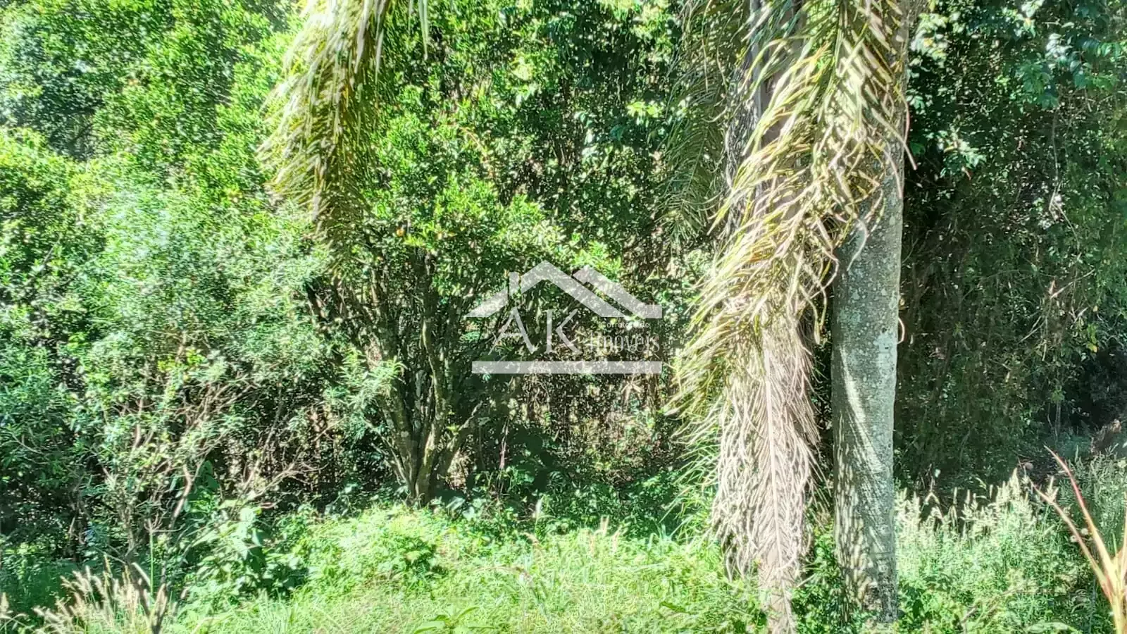Terreno em loteamento residencial em Nova Petrópolis, na Serra Gaúcha
