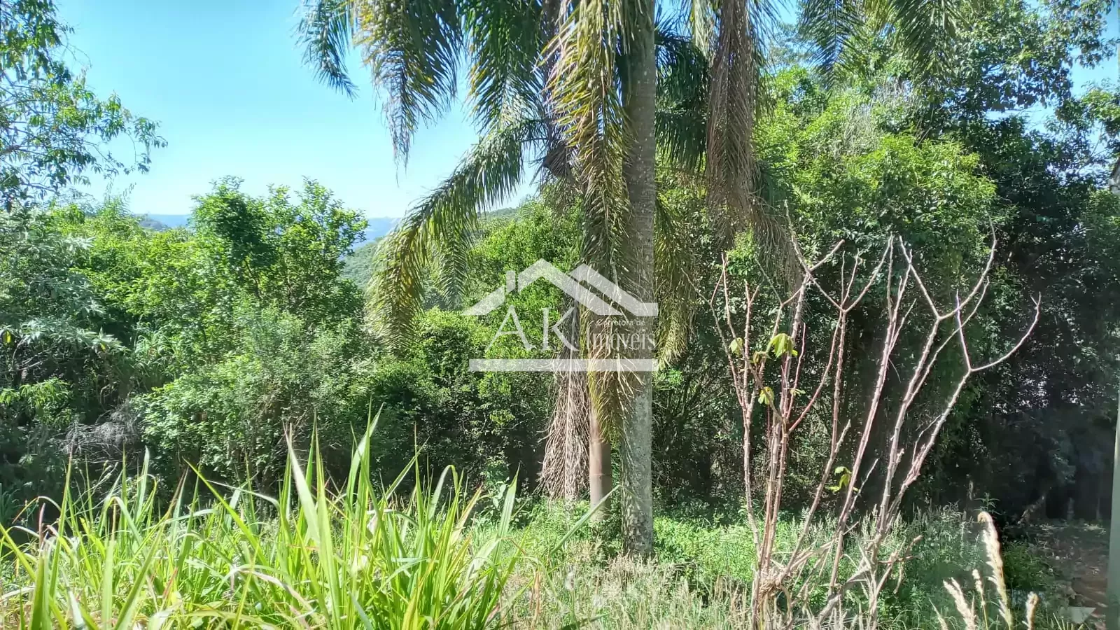 Terreno em loteamento residencial em Nova Petrópolis, na Serra Gaúcha