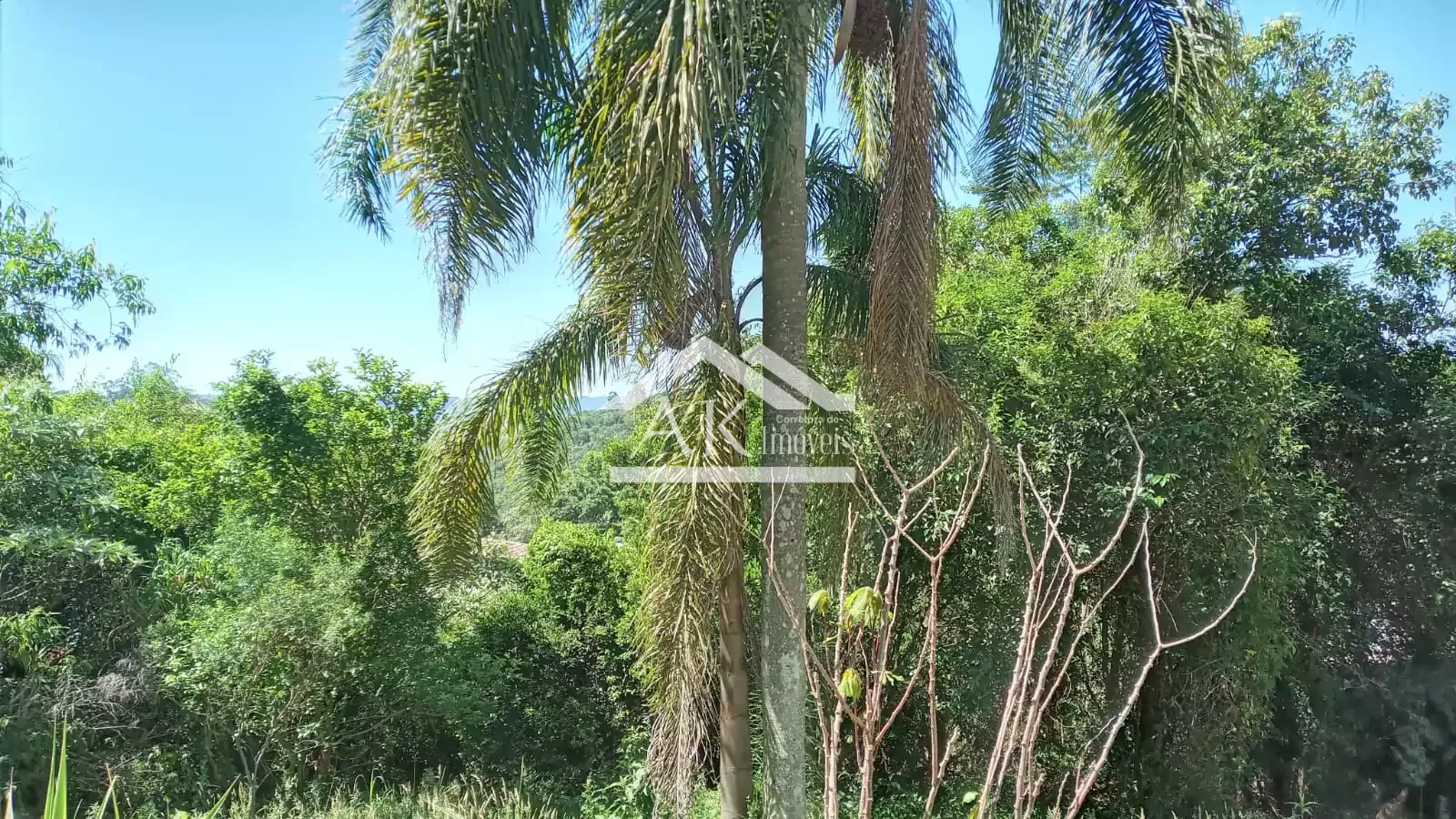 Terreno em loteamento residencial em Nova Petrópolis, na Serra Gaúcha