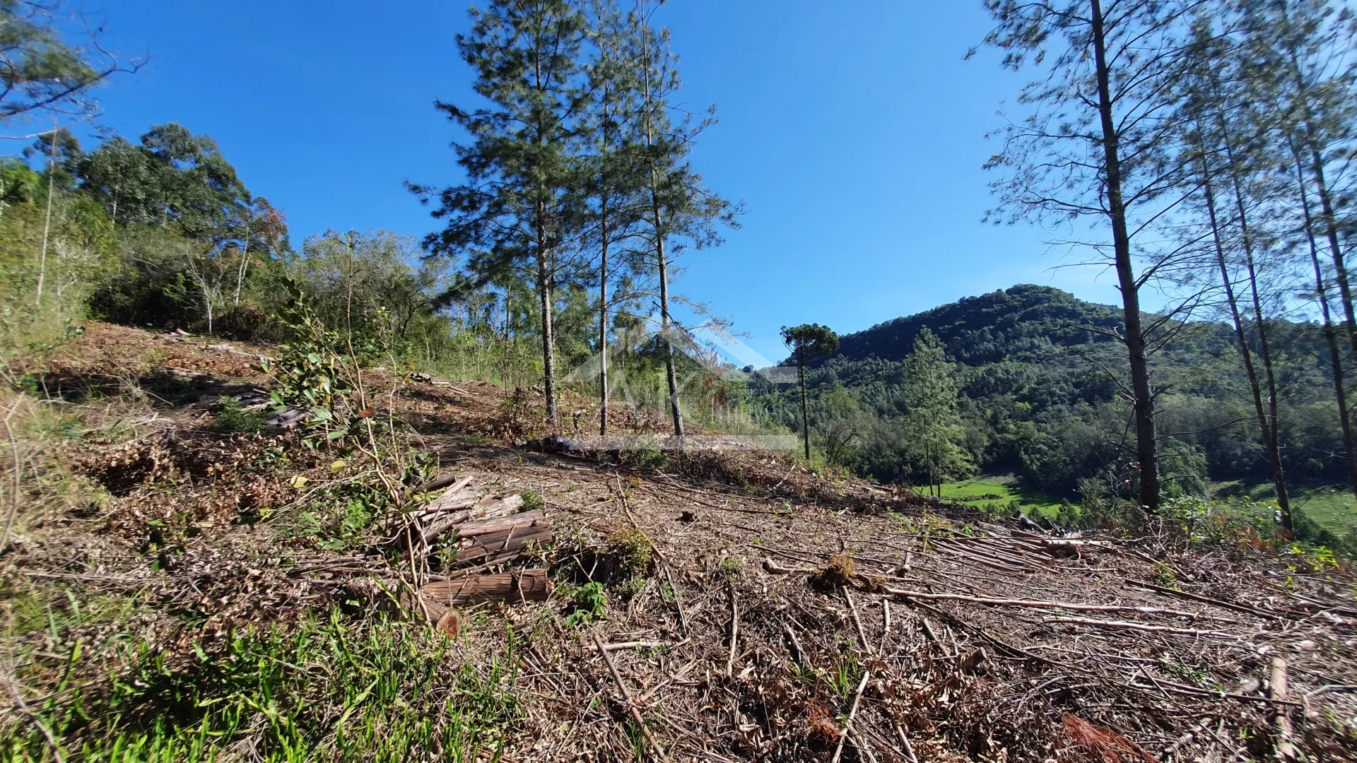 Área de terra com linda vista a venda em Picada Café na Serra Gaucha
