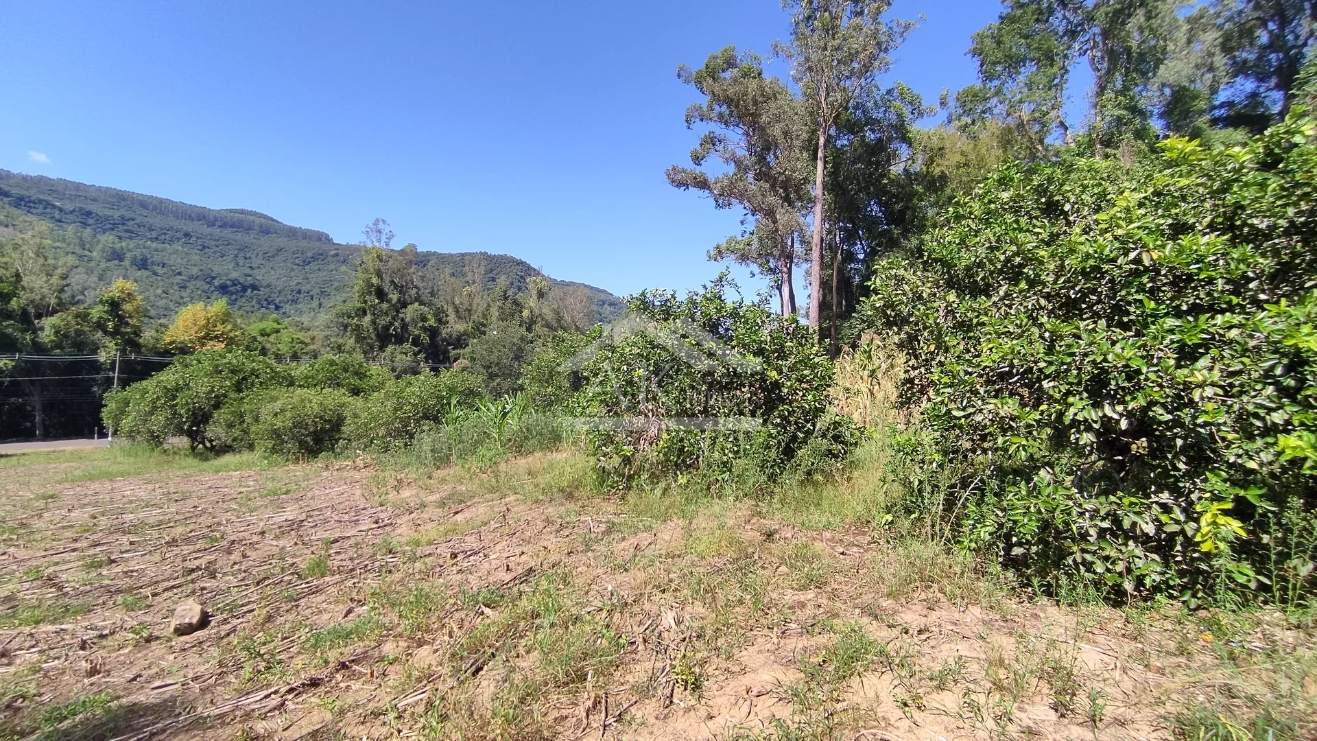 Amplo terreno à venda em Picada Café na Serra Gaúcha.