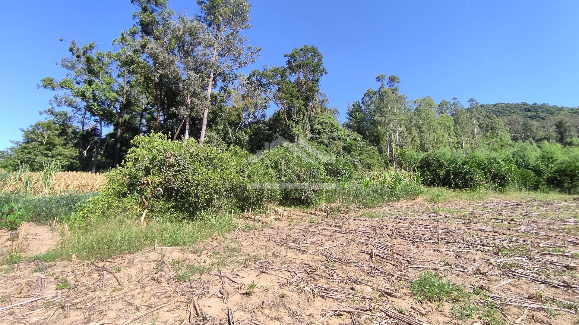 Amplo terreno à venda em Picada Café na Serra Gaúcha.
