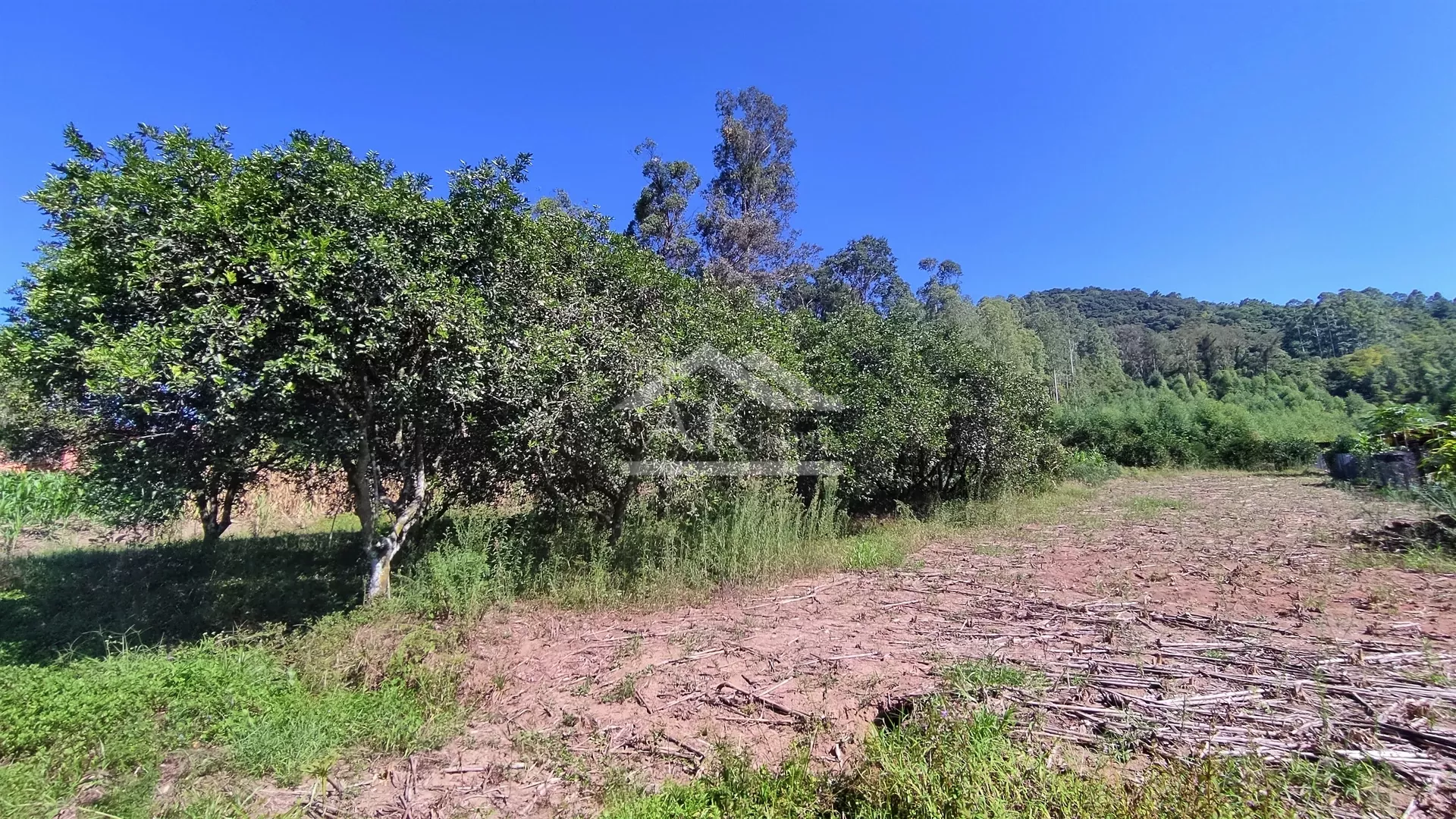 Amplo terreno à venda em Picada Café na Serra Gaúcha.