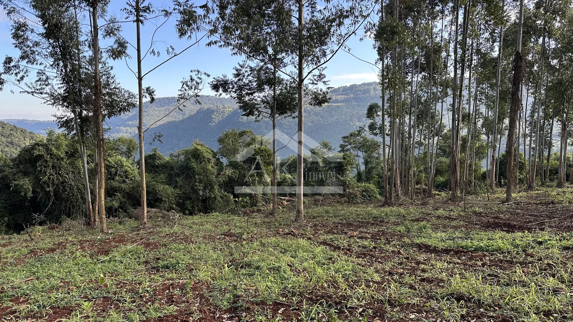 Área de terra de 27,9 hectares com vista panorâmica à venda em Nova Petrópolis na Serra Gaúcha