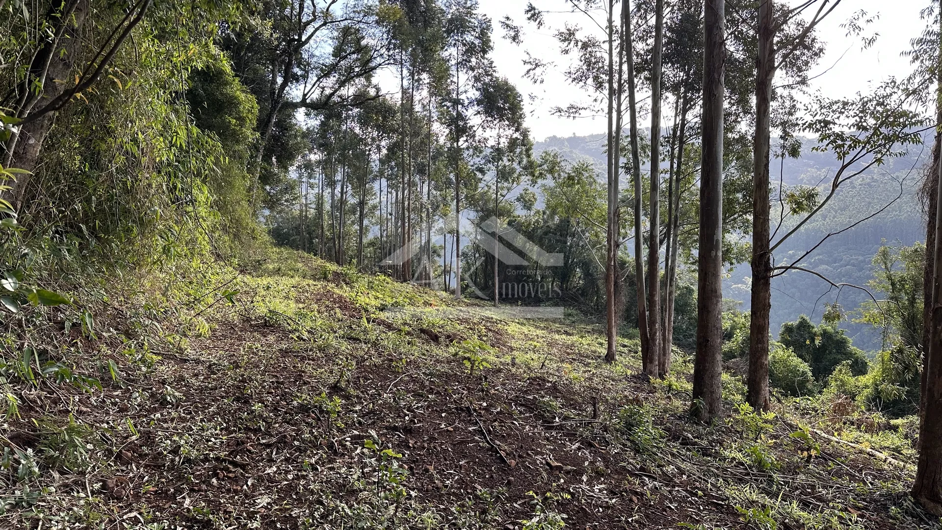 Área de terra de 27,9 hectares com vista panorâmica à venda em Nova Petrópolis na Serra Gaúcha