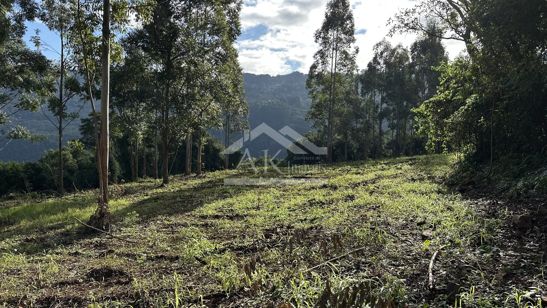 Área de terra de 27,9 hectares com vista panorâmica à venda em Nova Petrópolis na Serra Gaúcha