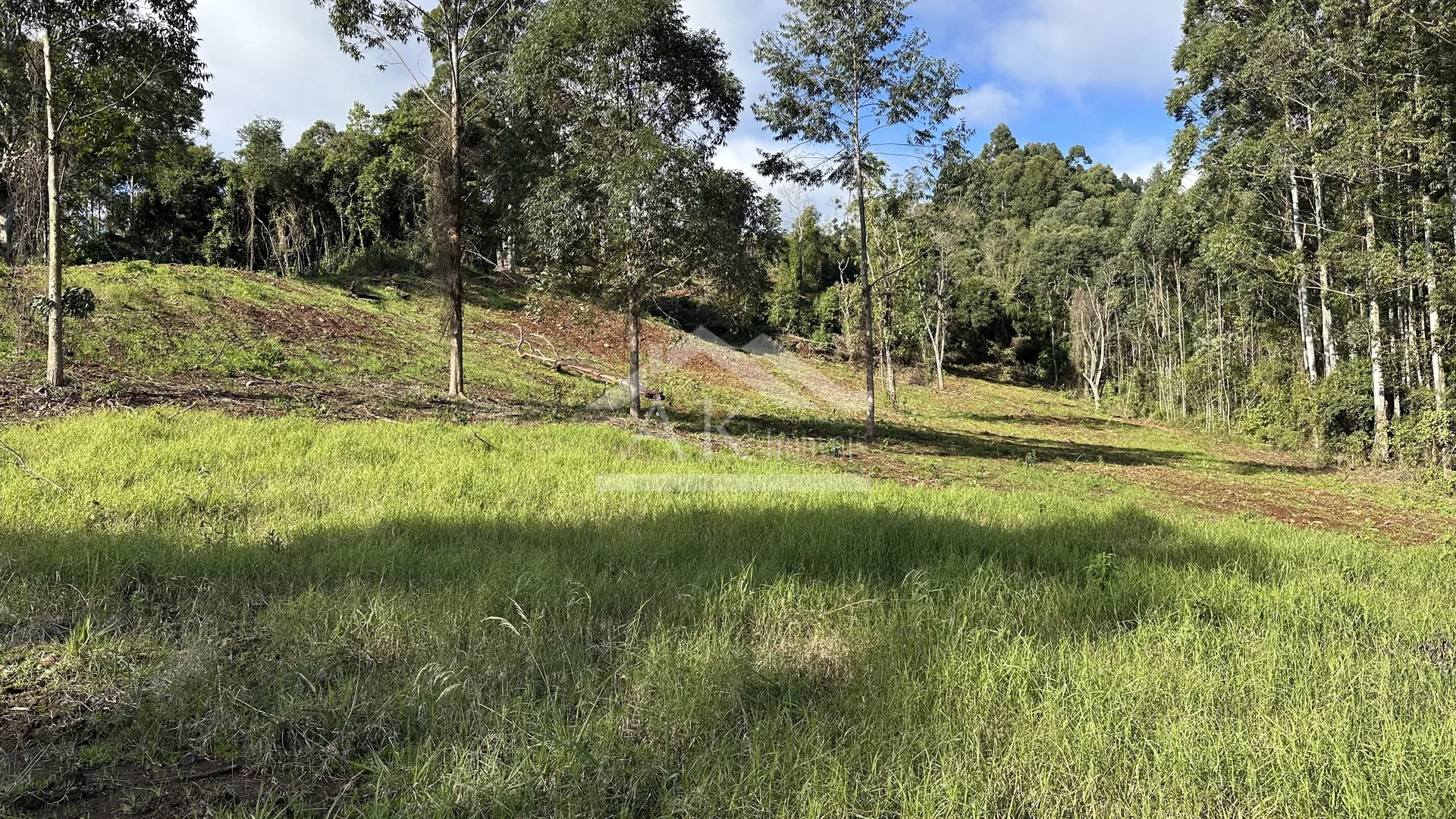 Área de terra de 27,9 hectares com vista panorâmica à venda em Nova Petrópolis na Serra Gaúcha