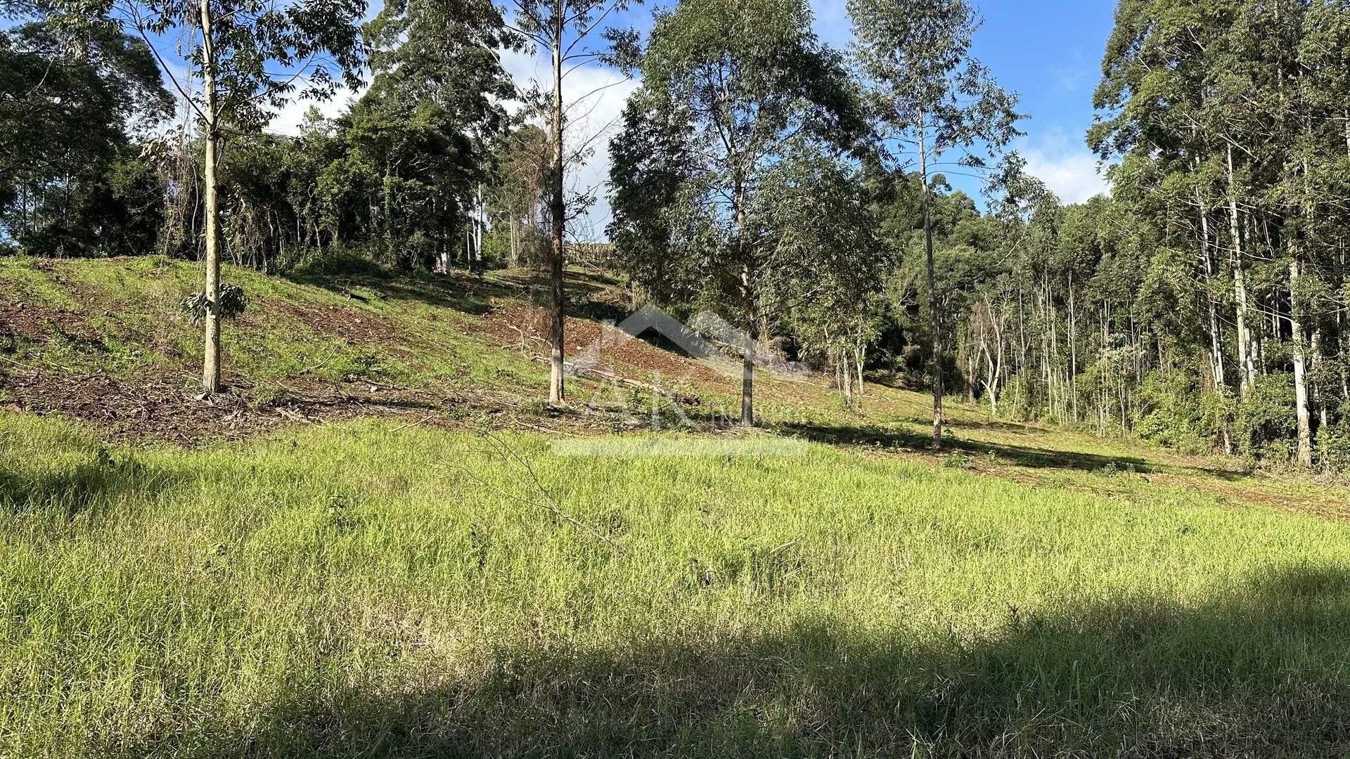Área de terra de 27,9 hectares com vista panorâmica à venda em Nova Petrópolis na Serra Gaúcha
