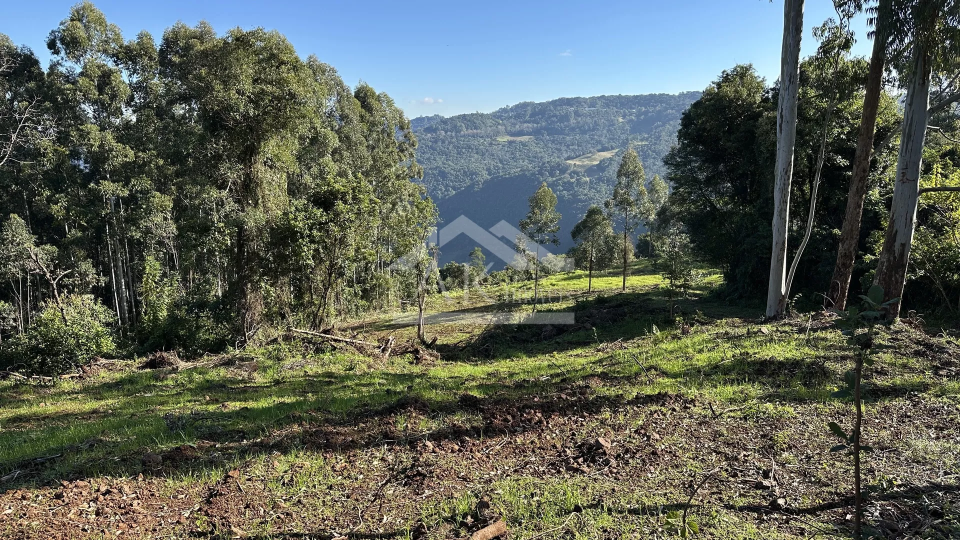Área de terra de 27,9 hectares com vista panorâmica à venda em Nova Petrópolis na Serra Gaúcha