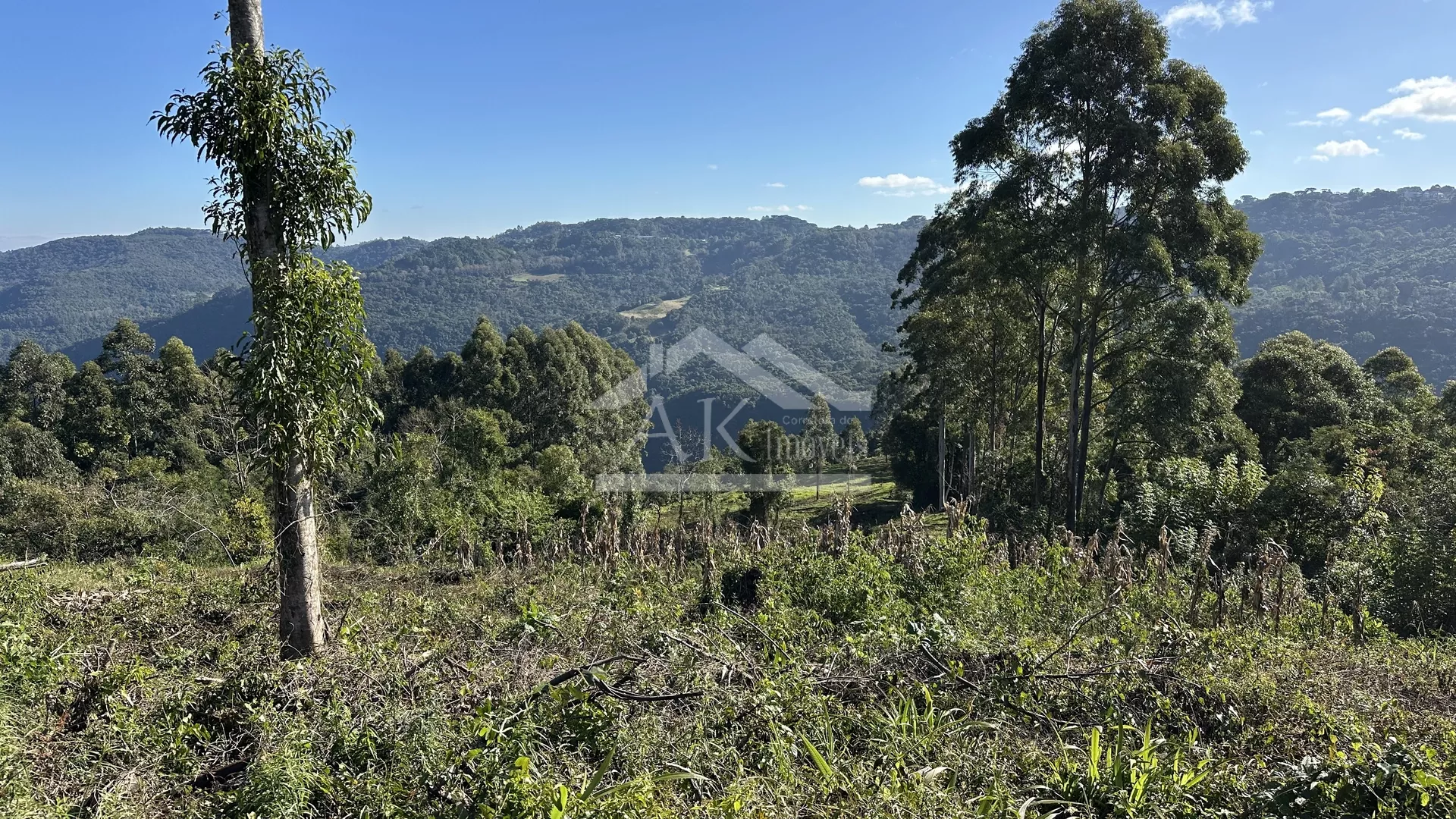 Área de terra de 27,9 hectares com vista panorâmica à venda em Nova Petrópolis na Serra Gaúcha