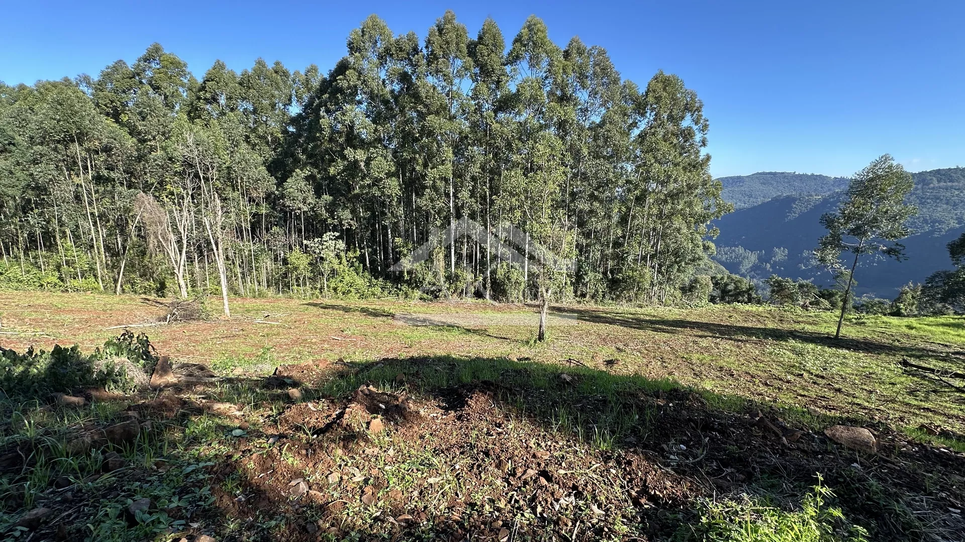 Área de terra de 27,9 hectares com vista panorâmica à venda em Nova Petrópolis na Serra Gaúcha