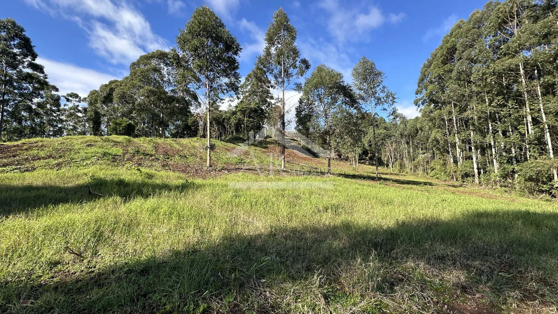 Área de terra de 27,9 hectares com vista panorâmica à venda em Nova Petrópolis na Serra Gaúcha