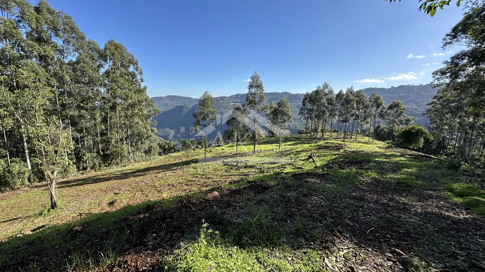 Área de terra de 27,9 hectares com vista panorâmica à venda em Nova Petrópolis na Serra Gaúcha