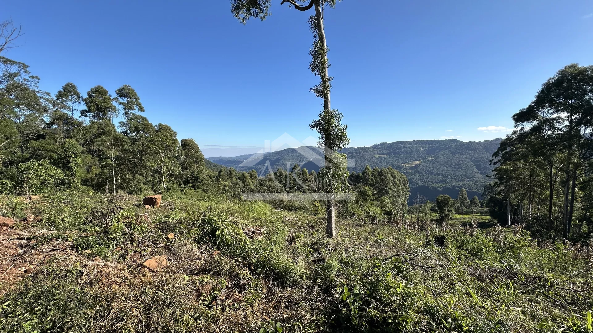 Área de terra de 27,9 hectares com vista panorâmica à venda em Nova Petrópolis na Serra Gaúcha