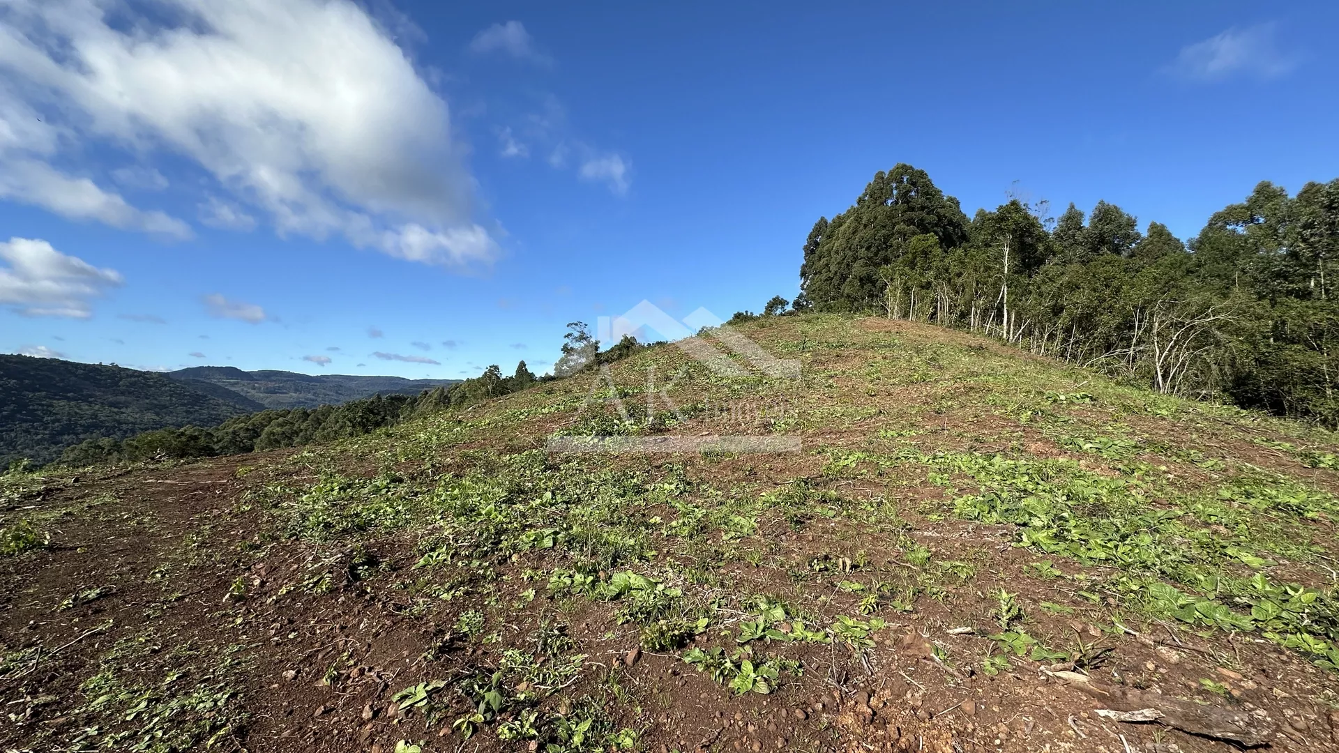 Área de terra de 27,9 hectares com vista panorâmica à venda em Nova Petrópolis na Serra Gaúcha