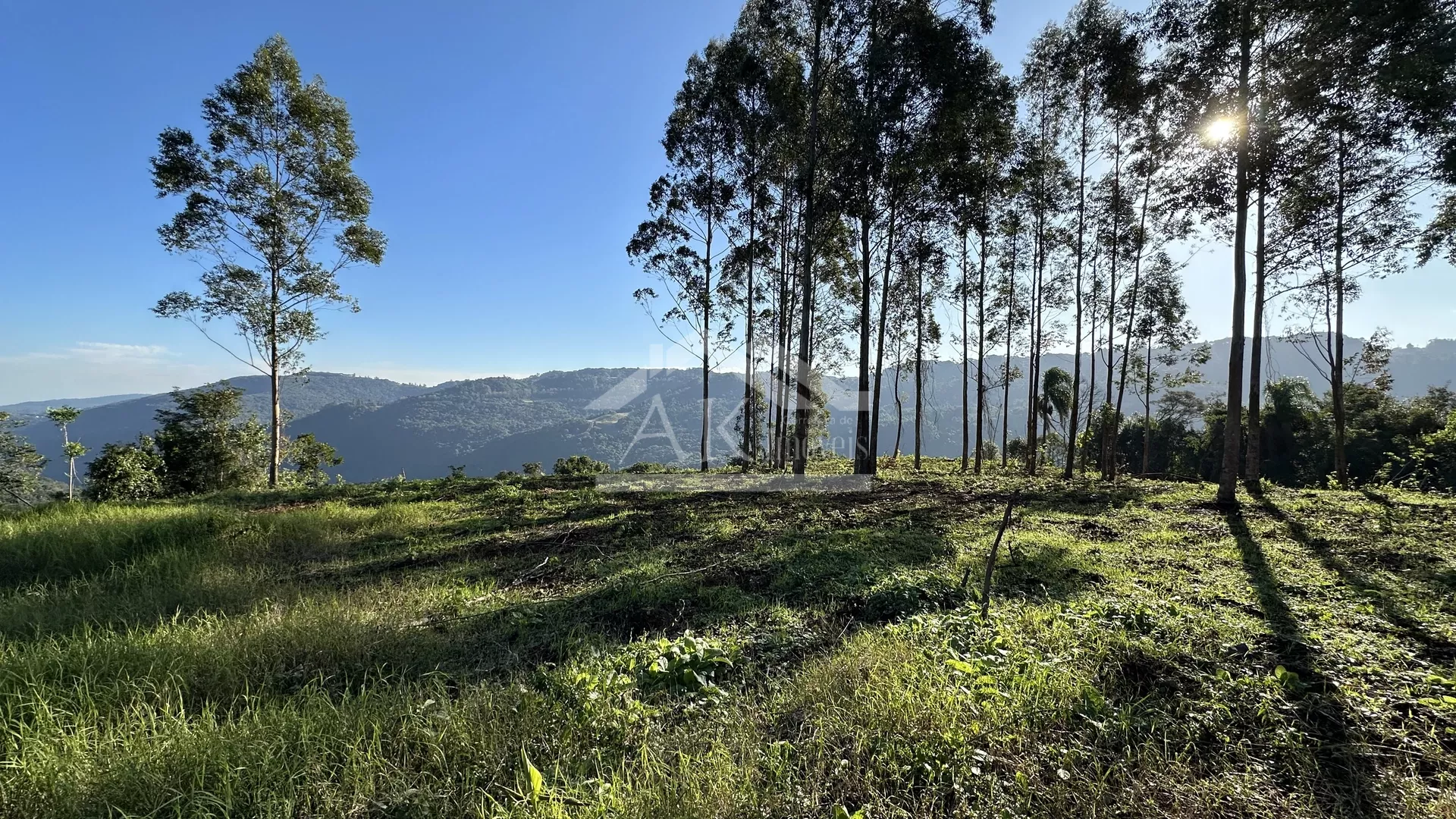 Área de terra de 27,9 hectares com vista panorâmica à venda em Nova Petrópolis na Serra Gaúcha
