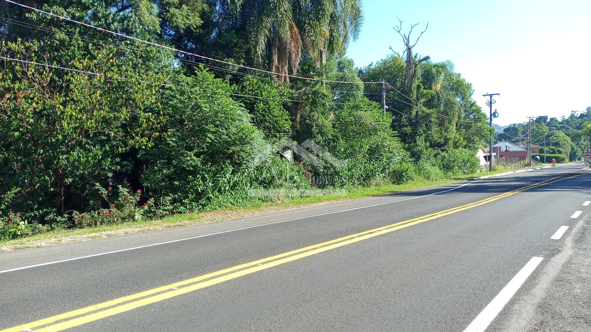 Amplo terreno com frente para a BR 116 à venda em Picada Café na Serra Gaúcha