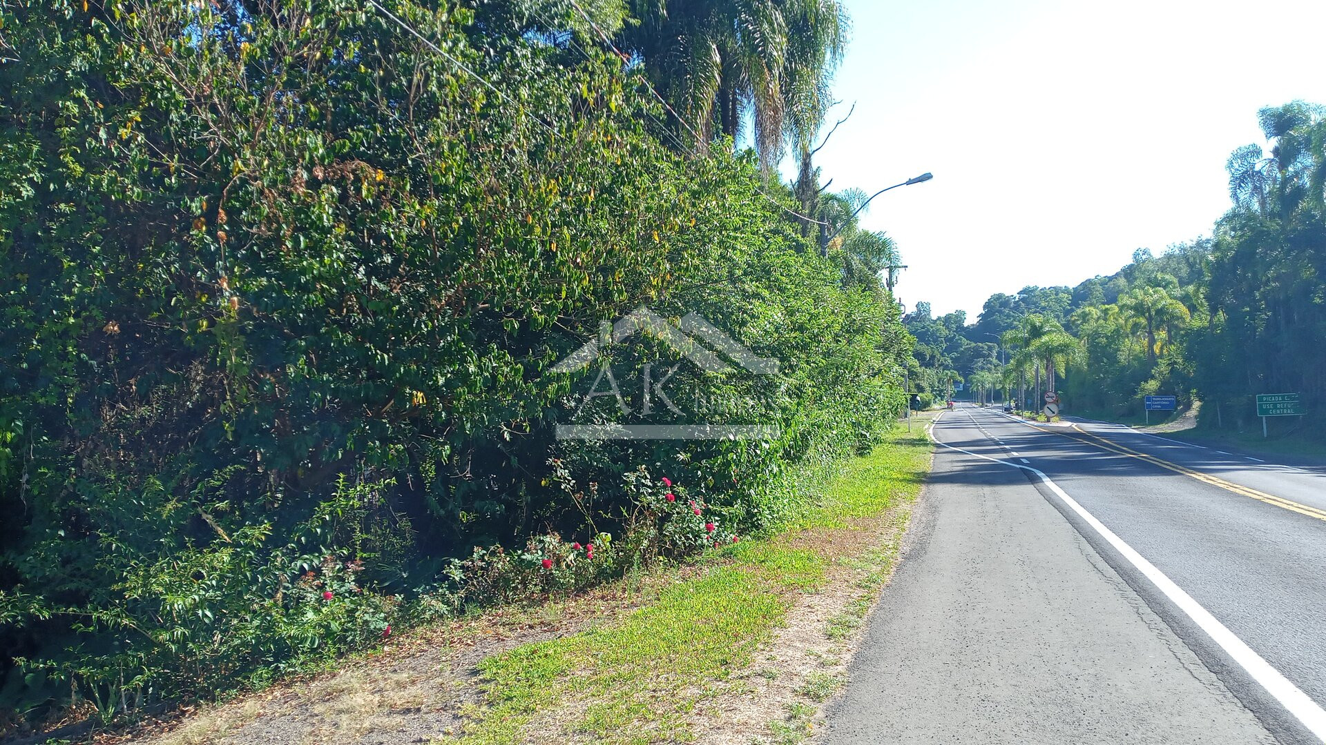 Amplo terreno com frente para a BR 116 à venda em Picada Café na Serra Gaúcha