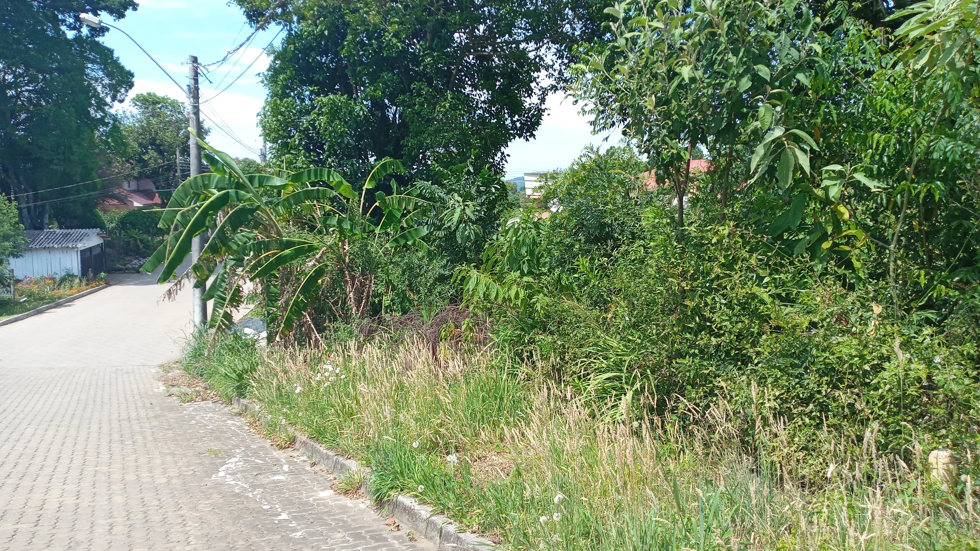 Terreno a venda em Nova Petrópolis, na Serra Gaúcha.
