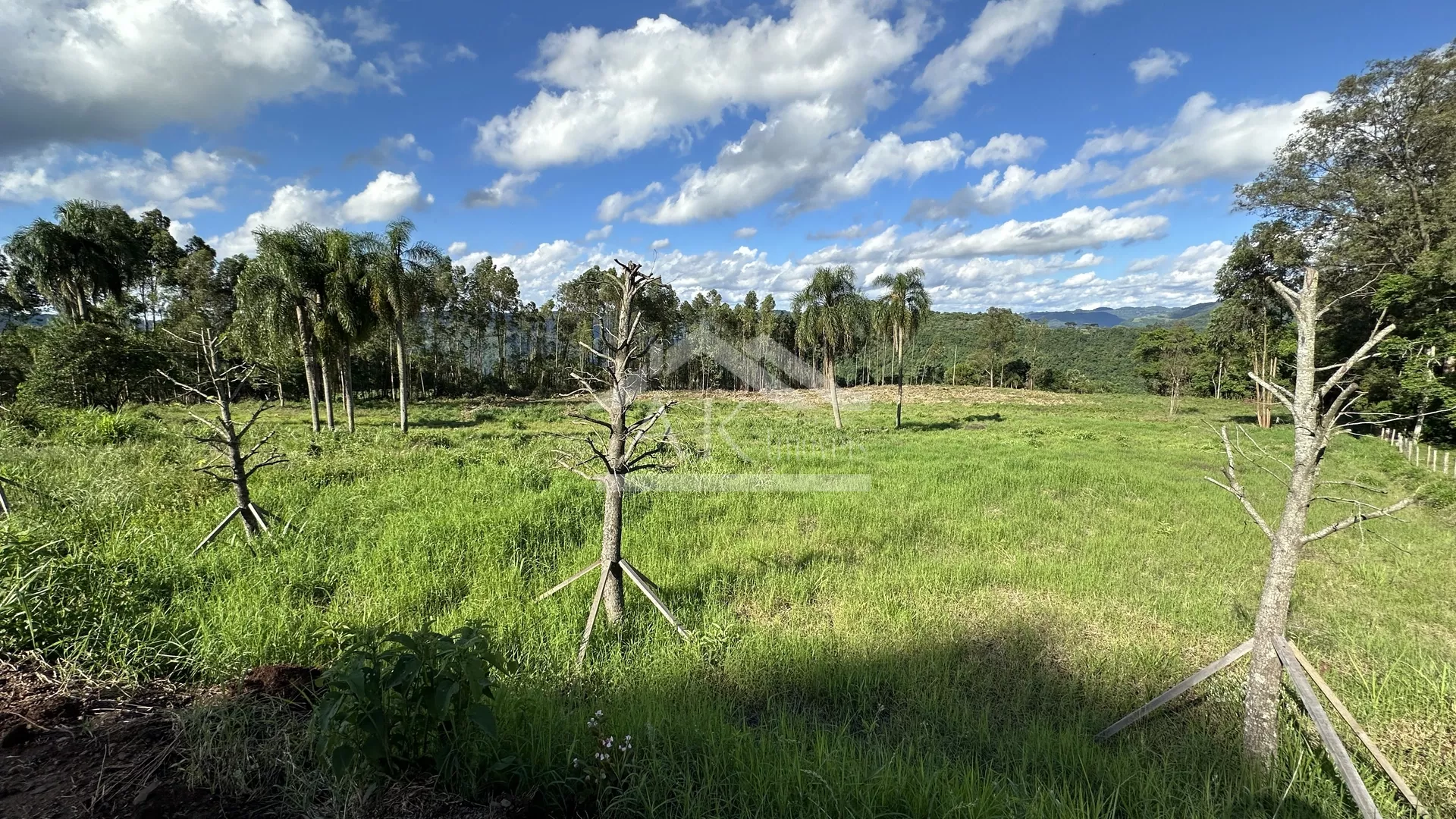 Área de terra com vista à venda em Picada Café na Serra Gaúcha