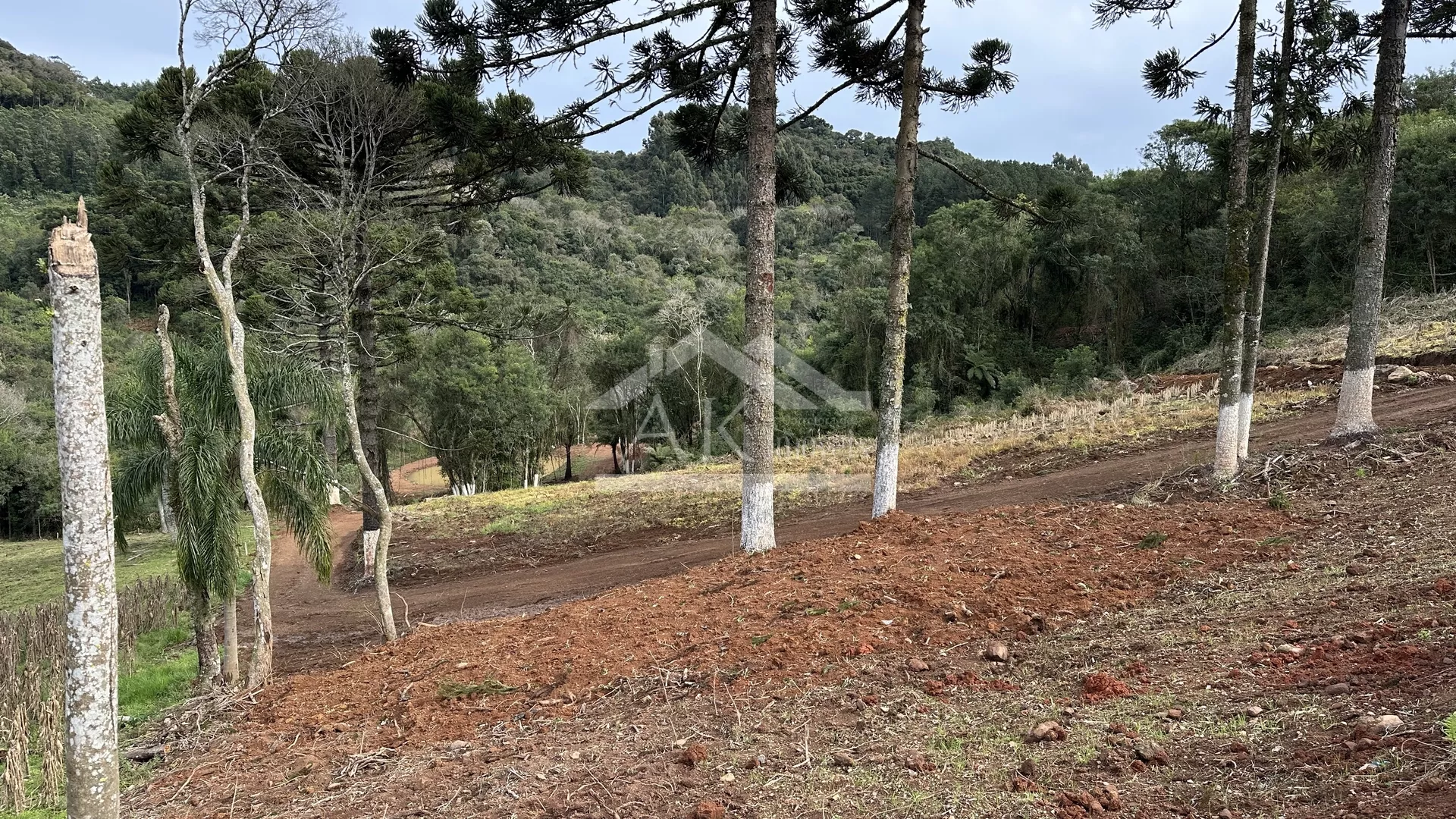 Área de terra com riacho à venda em Santa Maria do Herval