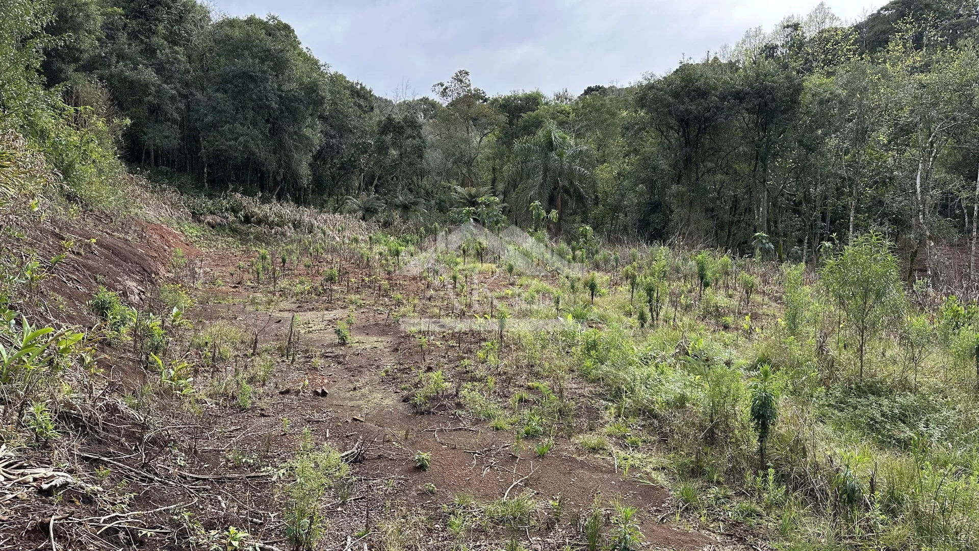 Área de terra com riacho à venda em Santa Maria do Herval