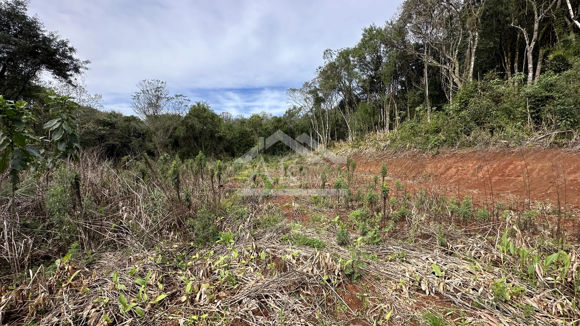 Área de terra com riacho à venda em Santa Maria do Herval