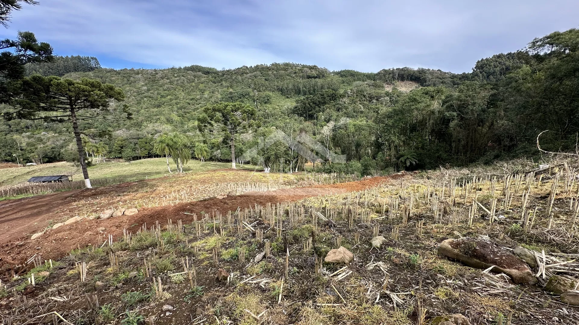 Área de terra com riacho à venda em Santa Maria do Herval