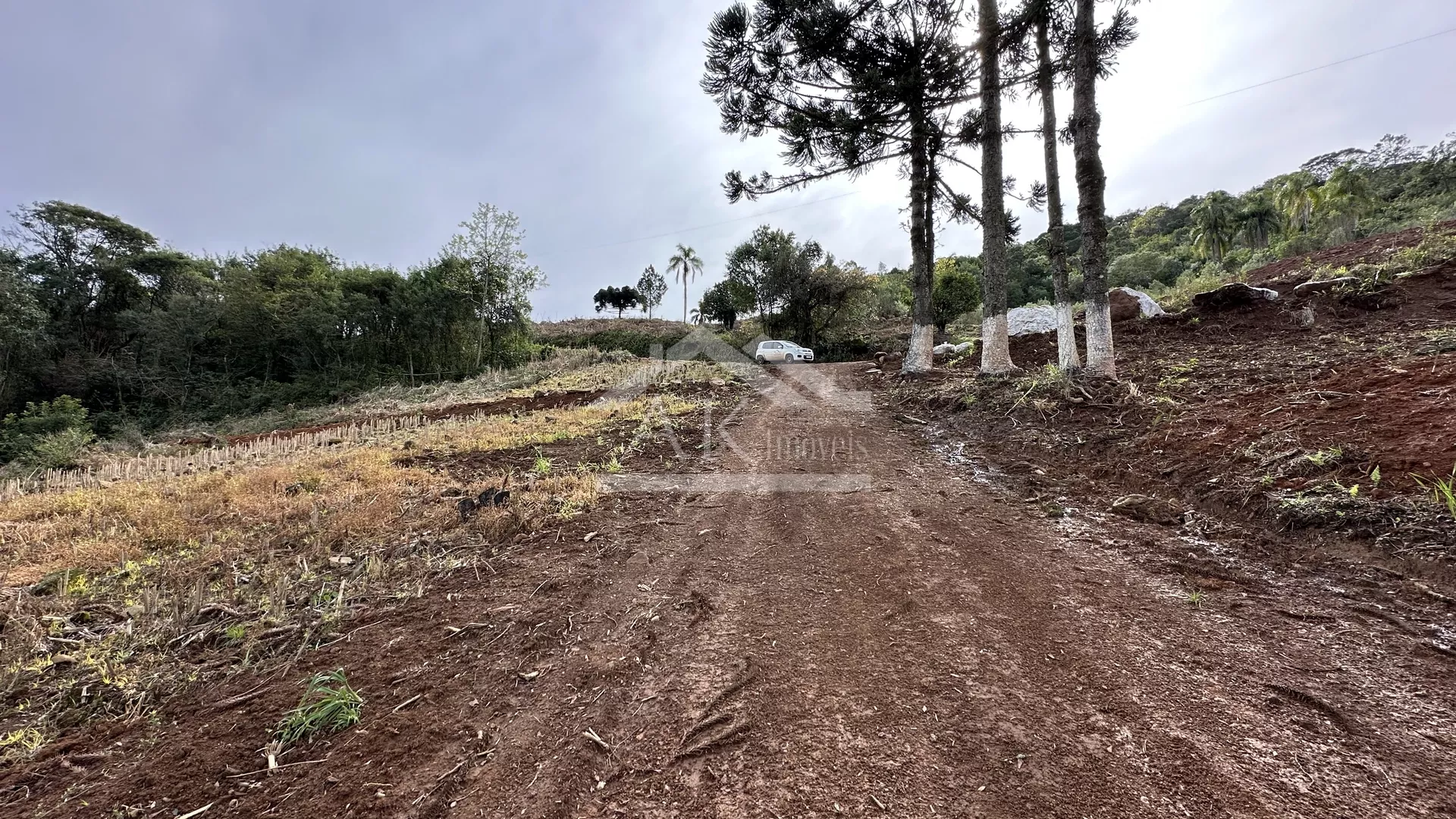 Área de terra com riacho à venda em Santa Maria do Herval