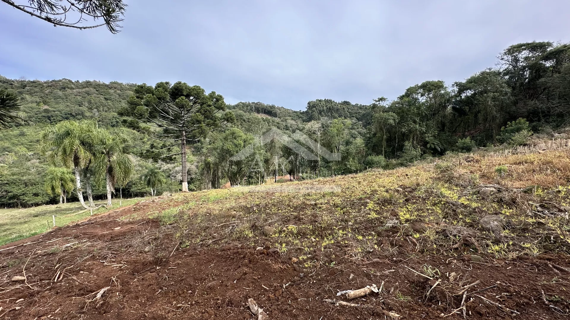 Área de terra com riacho à venda em Santa Maria do Herval