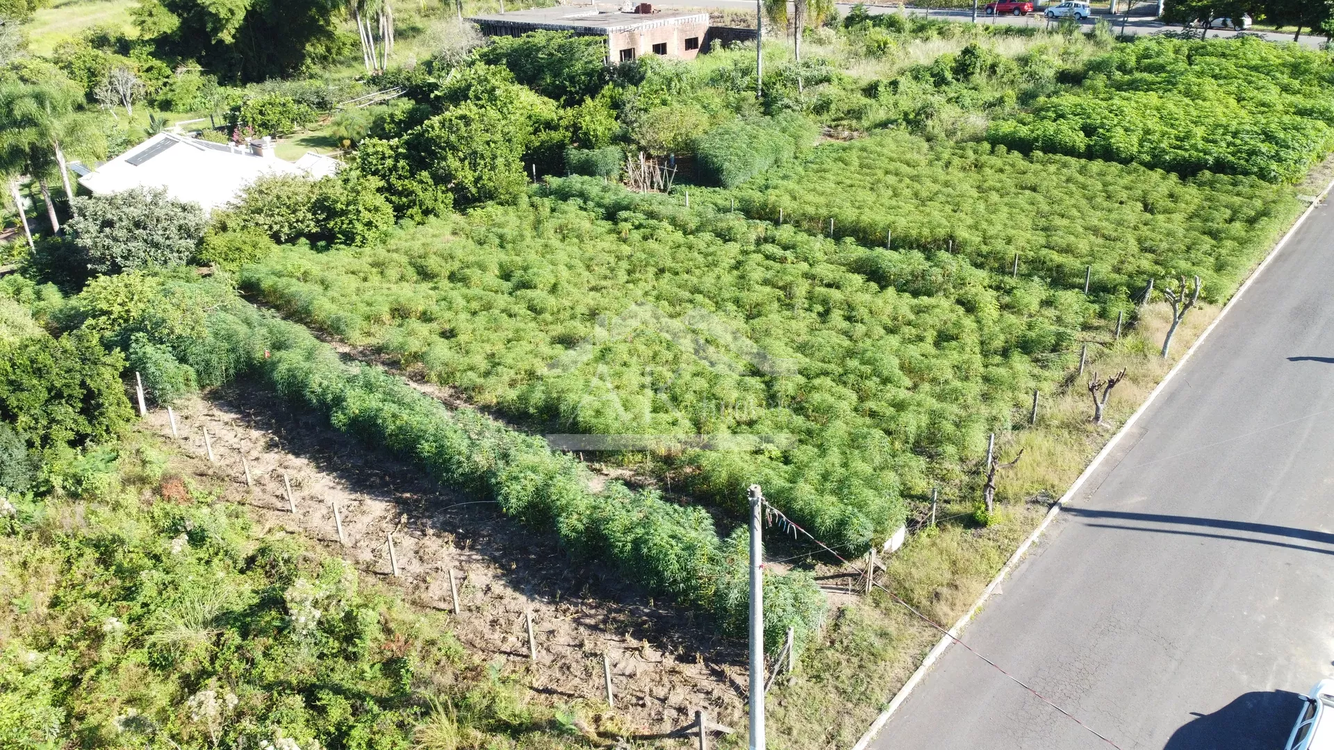 Amplo terreno à venda em Picada Café na Serra Gaúcha