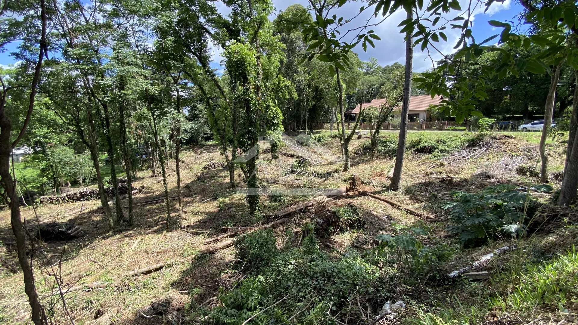Terreno de frente para Avenida 15 de Novembro Nova Petrópolis, Serra Gaúcha!
