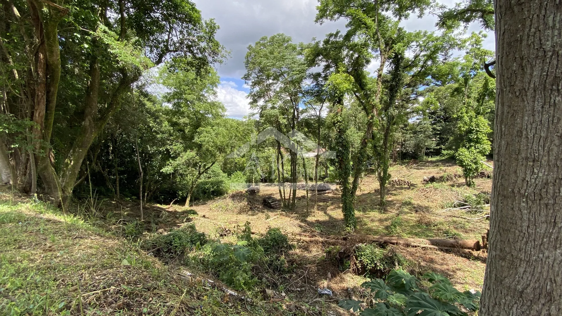 Terreno de frente para Avenida 15 de Novembro Nova Petrópolis, Serra Gaúcha!