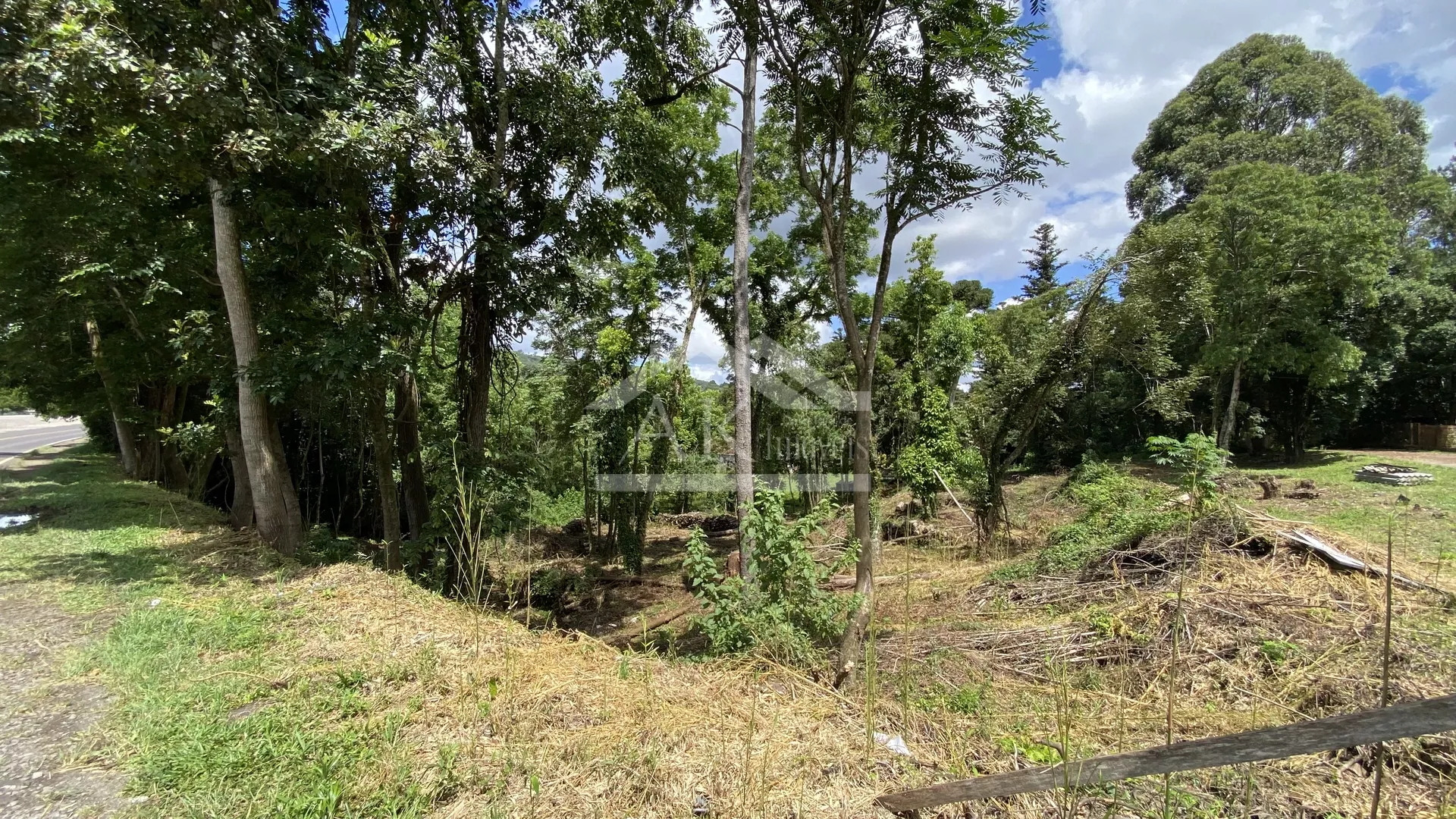 Terreno de frente para Avenida 15 de Novembro Nova Petrópolis, Serra Gaúcha!