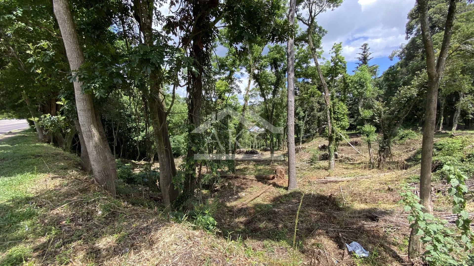 Terreno de frente para Avenida 15 de Novembro Nova Petrópolis, Serra Gaúcha!
