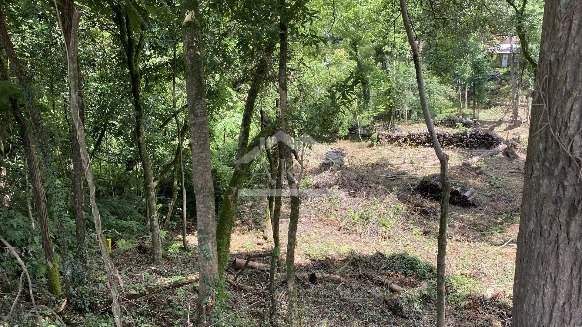 Terreno de frente para Avenida 15 de Novembro Nova Petrópolis, Serra Gaúcha!