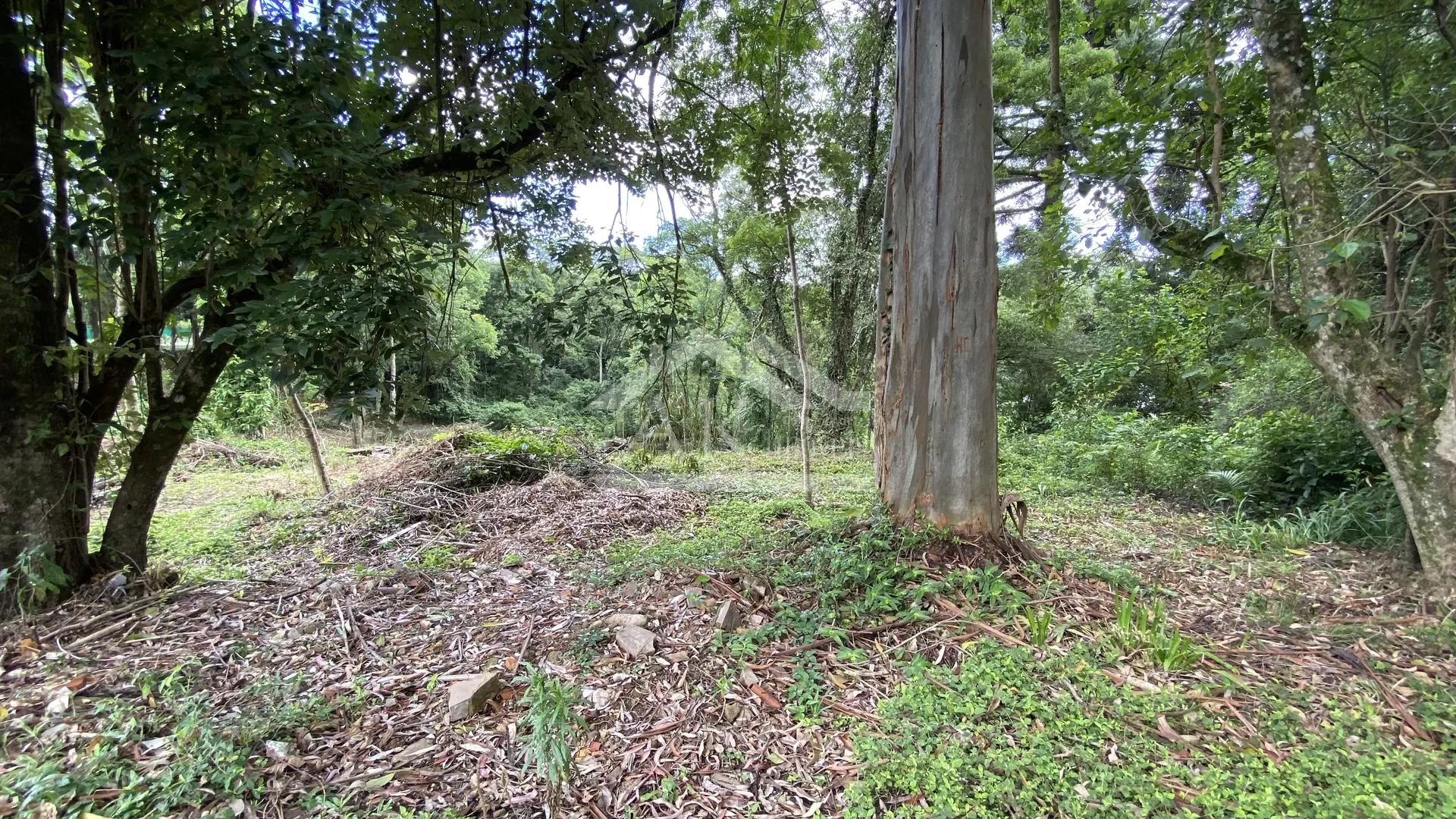 Terreno de frente para Avenida 15 de Novembro Nova Petrópolis, Serra Gaúcha!