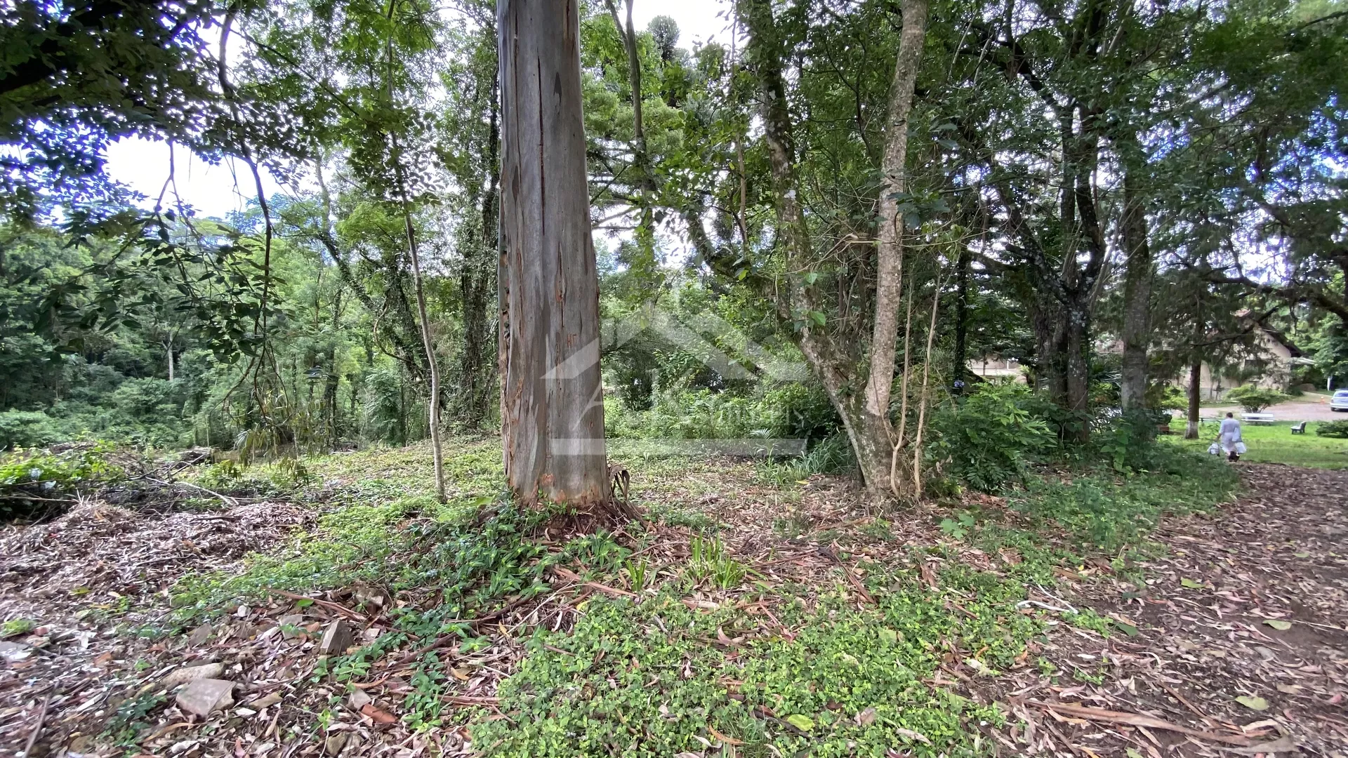 Terreno de frente para Avenida 15 de Novembro Nova Petrópolis, Serra Gaúcha!