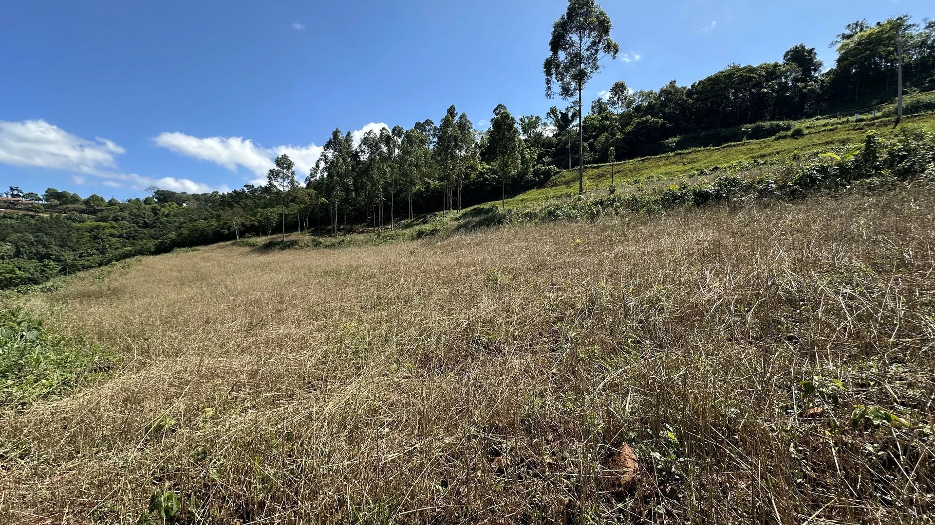 Bela área com vista e riacho à venda em Linha Nova na Serra Gaúcha!