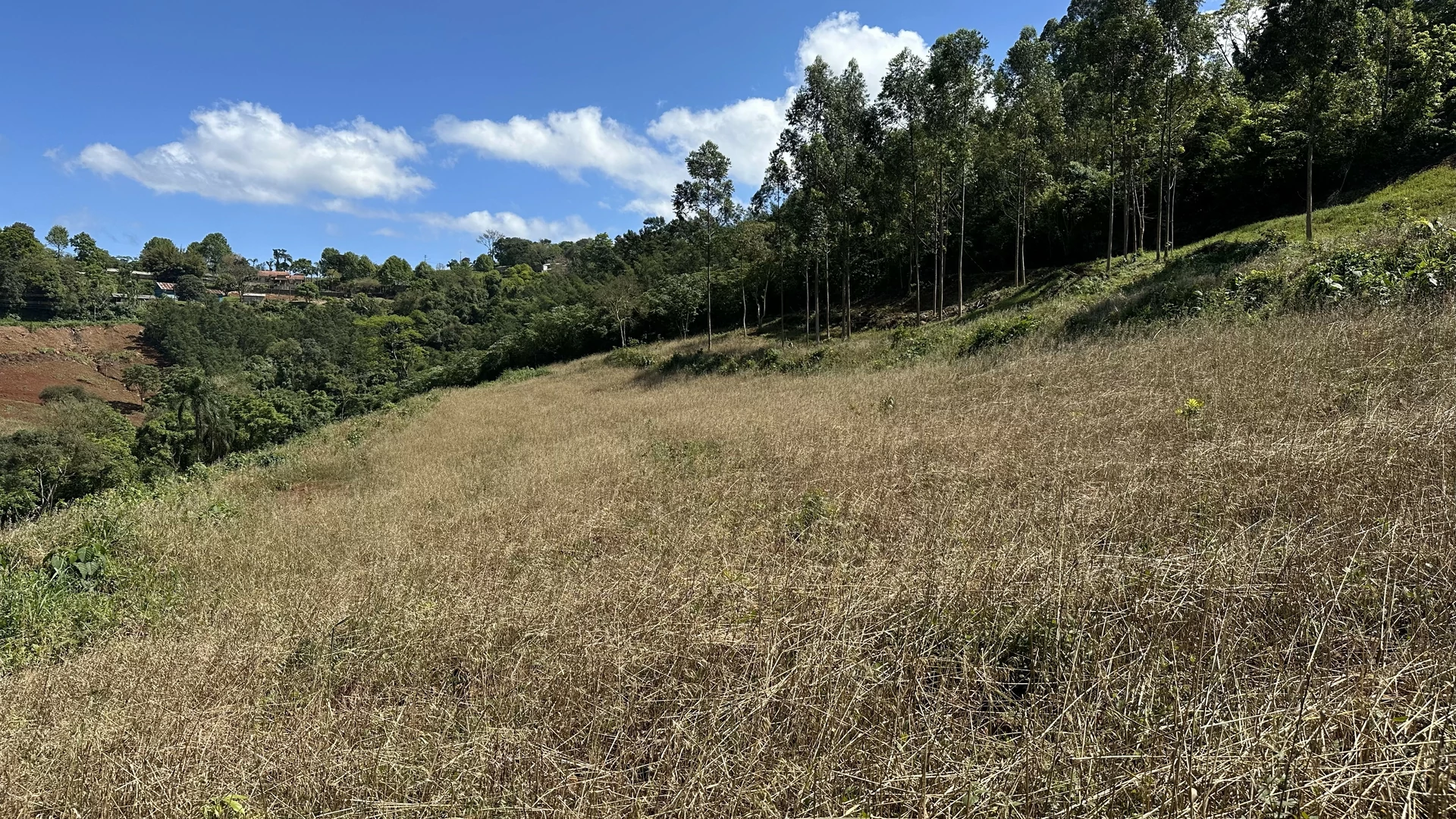 Bela área com vista e riacho à venda em Linha Nova na Serra Gaúcha!