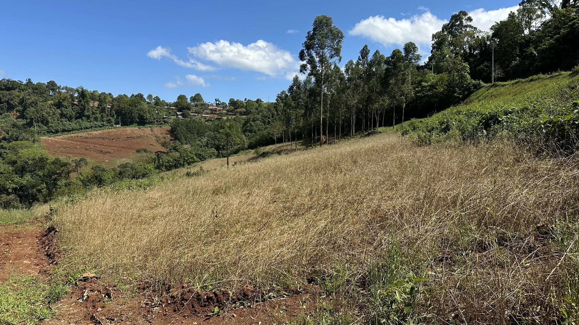 Bela área com vista e riacho à venda em Linha Nova na Serra Gaúcha!