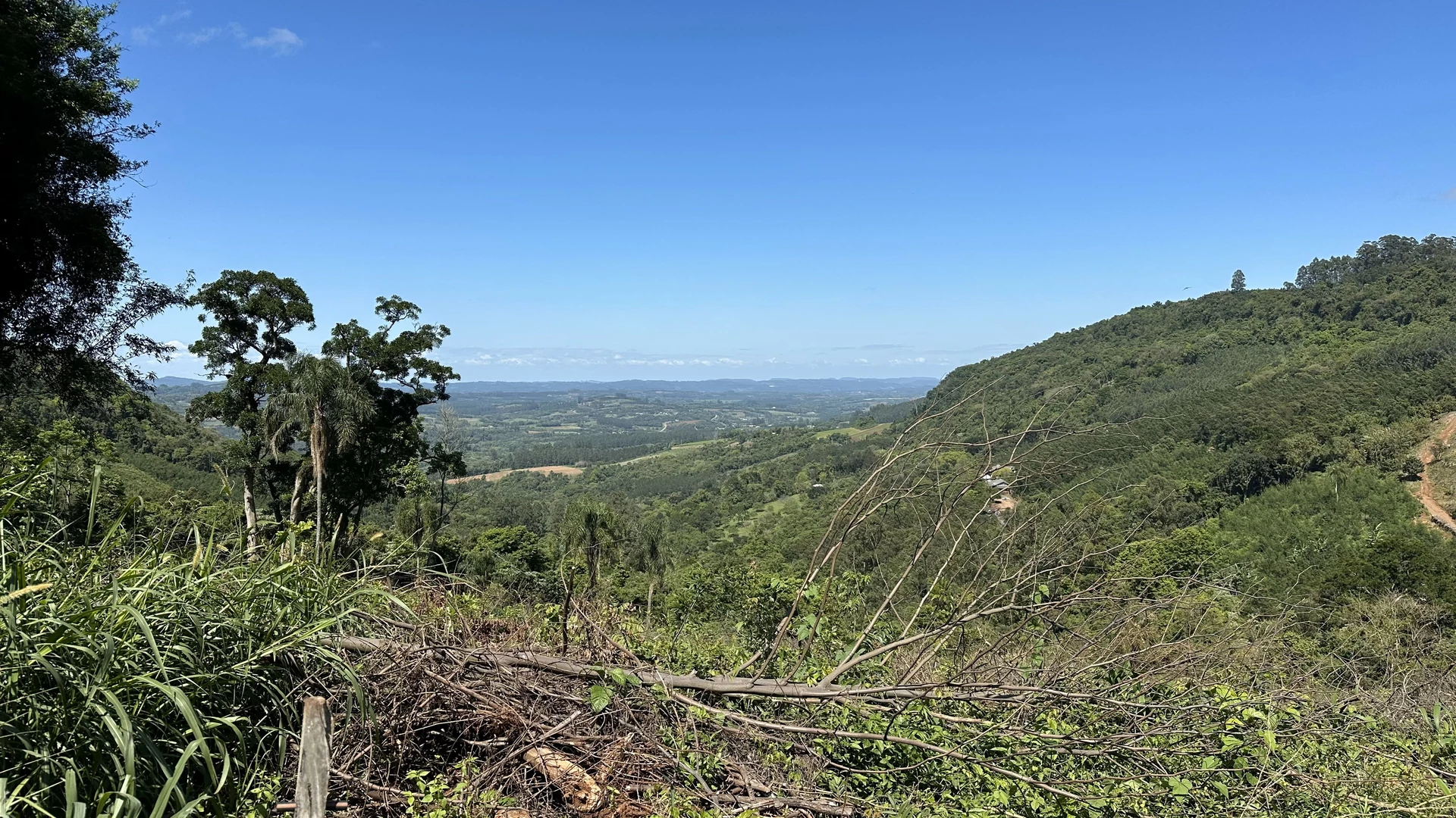 Bela área com vista e riacho à venda em Linha Nova na Serra Gaúcha!