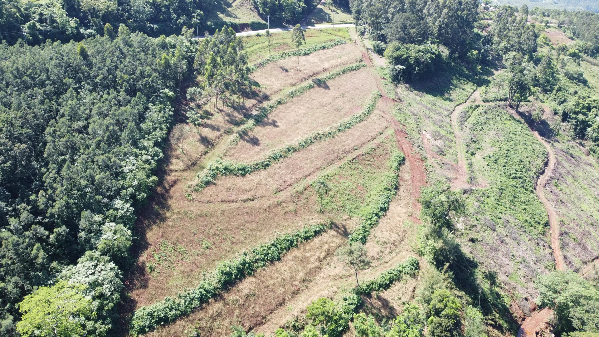 Bela área com vista e riacho à venda em Linha Nova na Serra Gaúcha!