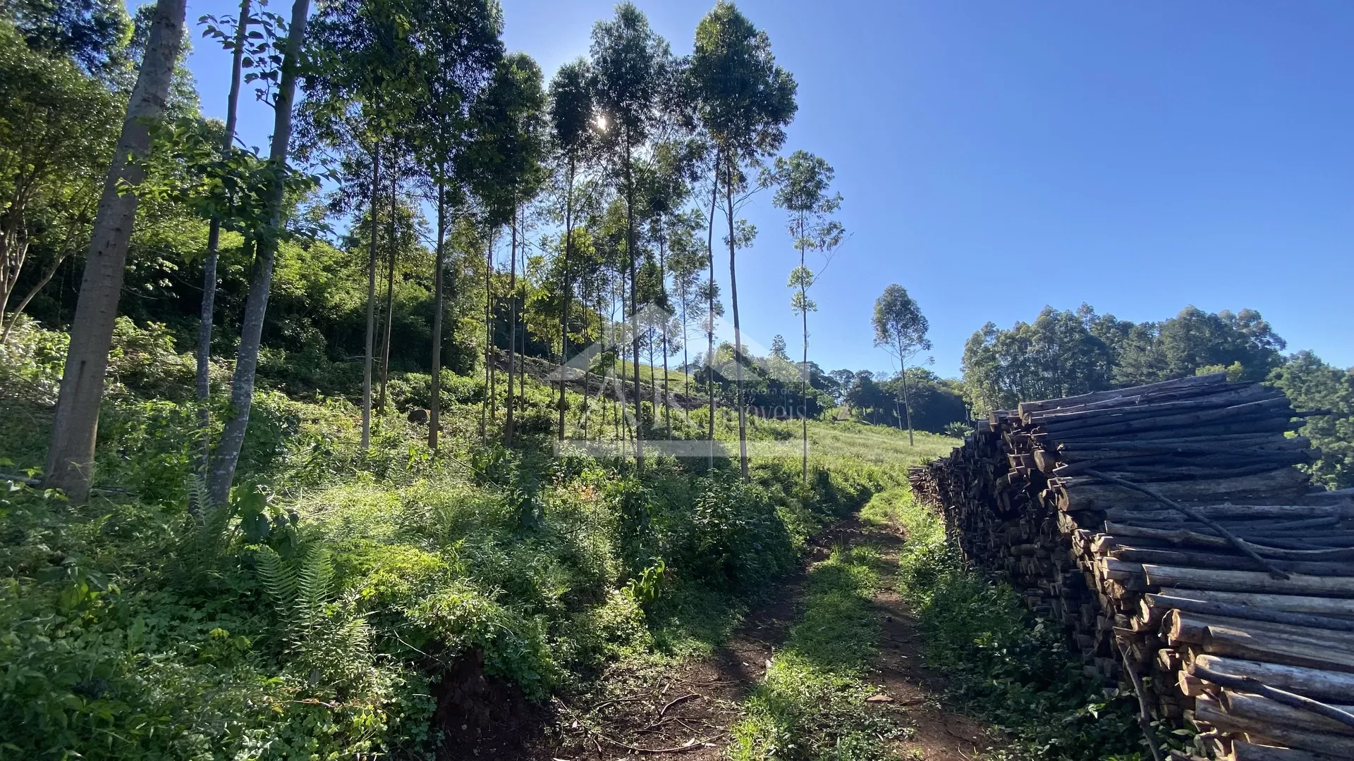 Bela área com vista e riacho à venda em Linha Nova na Serra Gaúcha!